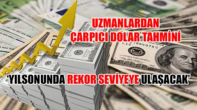 Uzmanlardan Çarpıcı Tahmini 'Dolar Yılsonunda Rekor Seviyeye Ulaşacak'