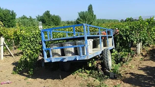 Üzüm bağında feci kaza: Traktörün altında kaldı