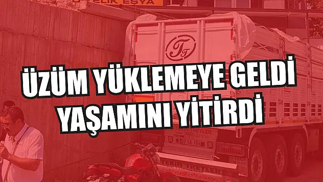 Üzüm yüklemeye geldi, yaşamını yitirdi