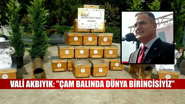 Vali Akbıyık: 'Çam balında dünya birincisiyiz'