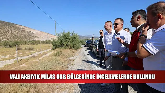 Vali Akbıyık Milas OSB bölgesinde incelemelerde bulundu