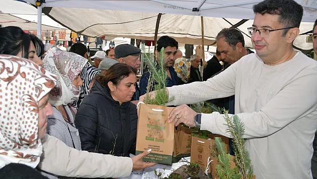 Vatandaşlara fidan dağıtımı yapıldı