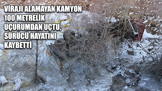 Virajı alamayan kamyon 100 metrelik uçurumdan uçtu, sürücü hayatını kaybetti