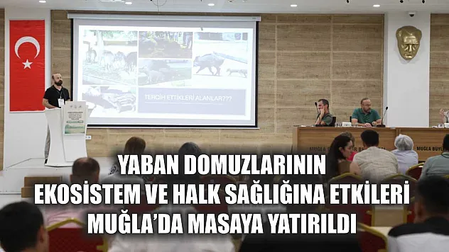 Yaban Domuzlarının Ekosistem ve Halk Sağlığına Etkileri Muğla'da Masaya Yatırıldı