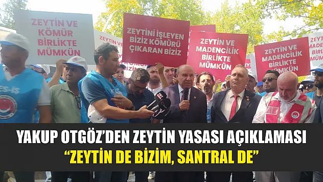 Yakup Otgöz'den Zeytin Yasası Açıklaması: 'Zeytin de Bizim, Santral de'