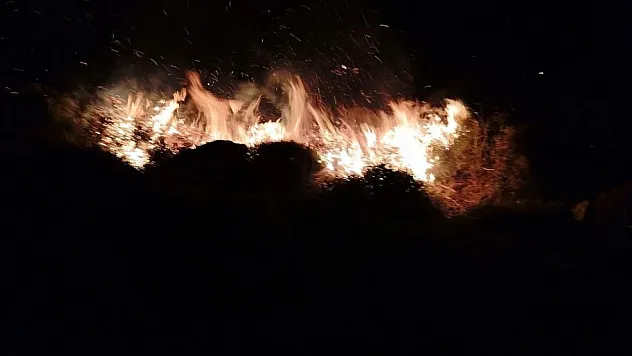 Yangında 15 dönüm alan kül oldu