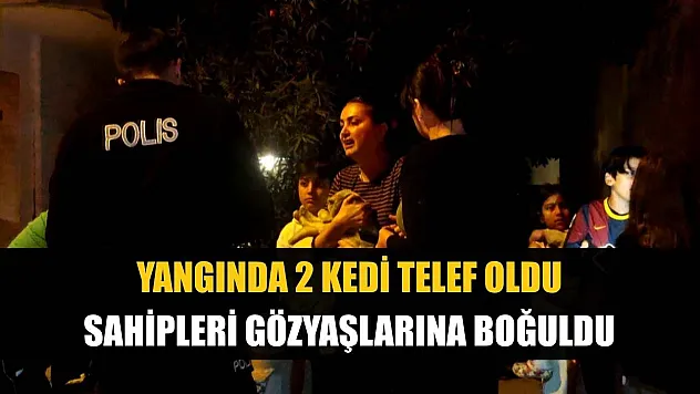 Yangında 2 kedi telef oldu, sahipleri gözyaşlarına boğuldu
