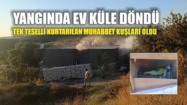 Yangında ev küle döndü, tek teselli kurtarılan muhabbet kuşları oldu