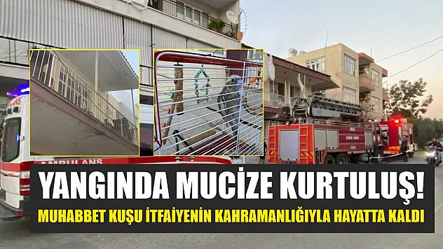 Yangında mucize kurtuluş! Muhabbet kuşu itfaiyenin kahramanlığıyla hayatta kaldı