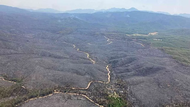 Yangının büyüklüğü gözler önüne serildi