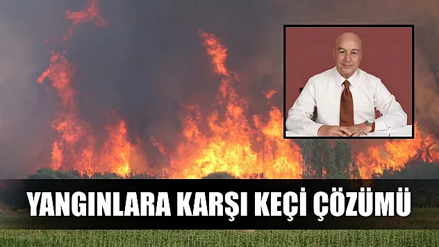 Yangınlara karşı keçi çözümü