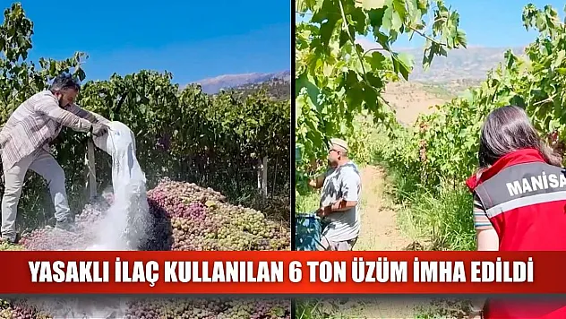 Yasaklı ilaç kullanılan 6 ton üzüm imha edildi