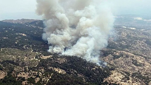 Yatağan'da orman yangını