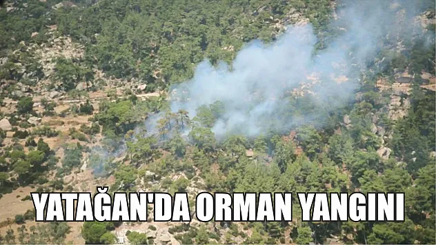 Yatağan'da orman yangını