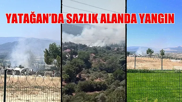 Yatağan'da sazlık alanda yangın