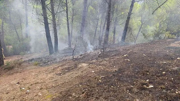 YATAĞAN'DA YILDIRIM KAYNAKLI ÇIKAN ORMAN YANGIN SÖNDÜRÜLDÜ