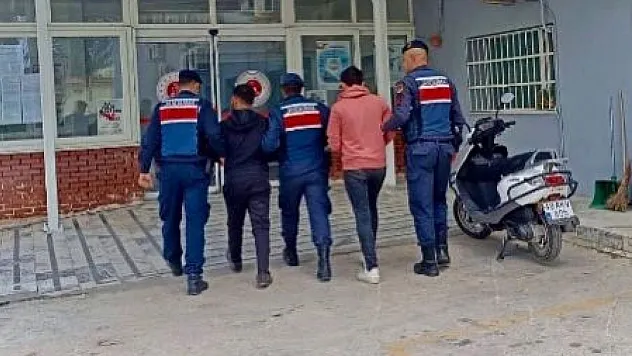 Zeytinyağı Hırsızları JASAT Timi Tarafından Yakalandı