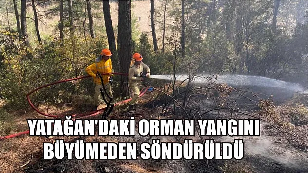 Yatağan'daki orman yangını büyümeden söndürüldü