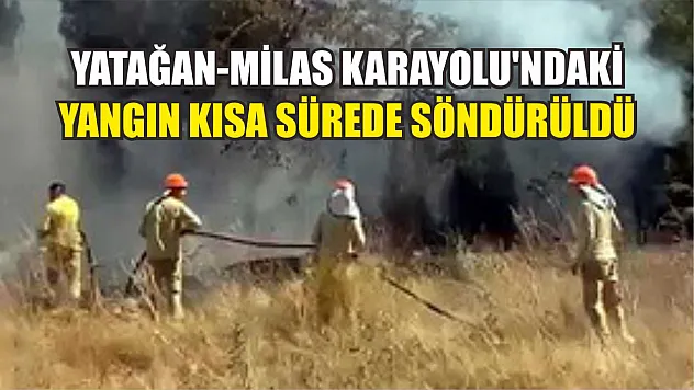 Yatağan-Milas Karayolu'ndaki yangın kısa sürede söndürüldü