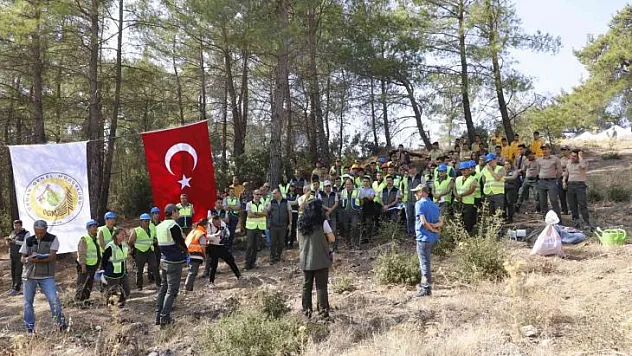 YATAĞAN, MİLAS VE KAVAKLIDERE İŞLETME MÜDÜRLÜKLERİNİN SİLVİKÜLTÜR TATBİKATI YAPILDI