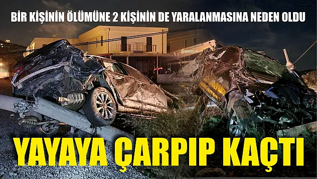 Yayaya çarpıp kaçtı