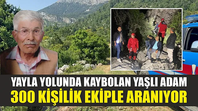 Yayla yolunda kaybolan yaşlı adam 300 kişilik ekiple aranıyor