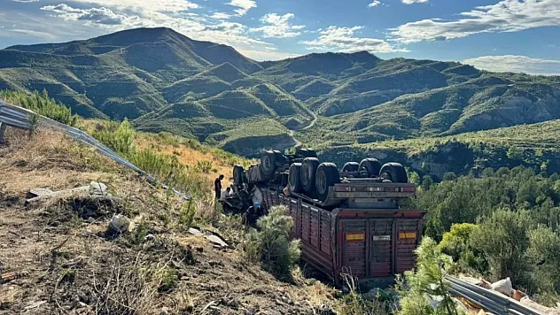 Yem yüklü tır şarampole yuvarlandı: 1 ölü