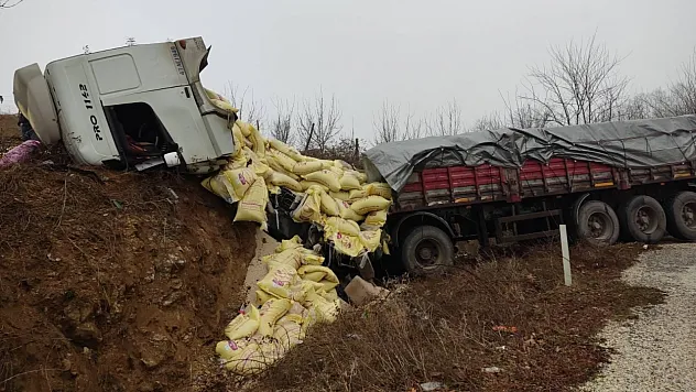 Yem yüklü tır yoldan çıktı: 2 yaralı