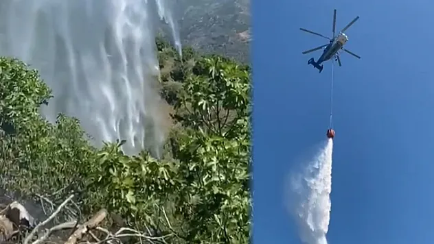 Yemek ısıtmak için yaktığı ateş incir bahçesini kül etti