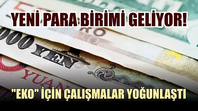 Yeni para birimi geliyor! 'Eko' için çalışmalar yoğunlaştı
