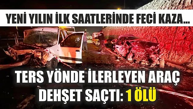 Yeni yılın ilk saatlerinde feci kaza... Ters yönde ilerleyen araç dehşet saçtı: 1 ölü