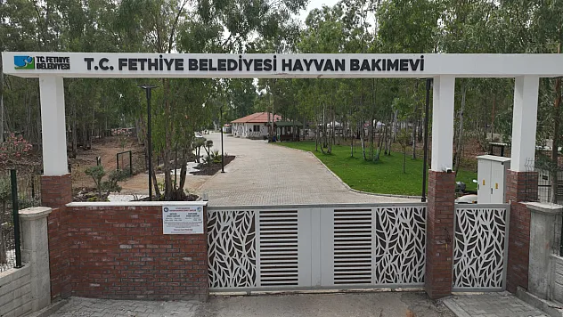 Yenilenen Fethiye Belediyesi Hayvan Bakımevi Açılıyor