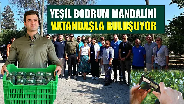 Yeşil Bodrum Mandalini, vatandaşla buluşuyor