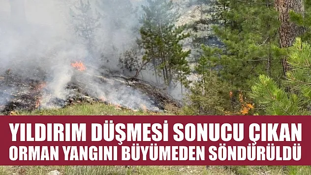 Yıldırım düşmesi sonucu çıkan orman yangını büyümeden söndürüldü