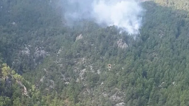 Yıldırım Düşmesi Sonucu Orman Yangını çıktı