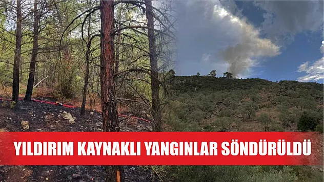 Yıldırım kaynaklı yangınlar söndürüldü