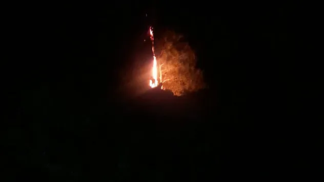 YILDIRIM ORMAN YANGINI YARATTI