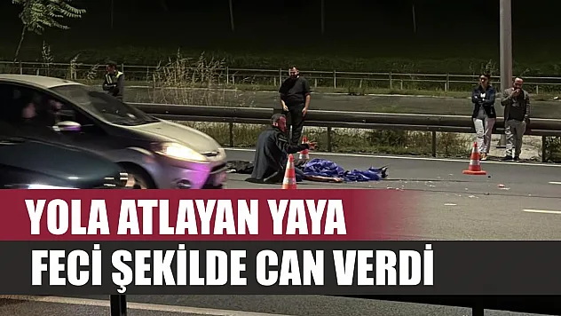 Yola atlayan yaya feci şekilde can verdi