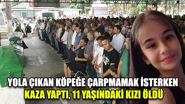 Yola Çıkan Köpeğe Çarpmamak İsterken Kaza Yaptı, 11 Yaşındaki Kızı Öldü