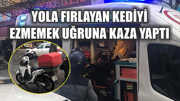 Yola fırlayan kediyi ezmemek uğruna kaza yaptı