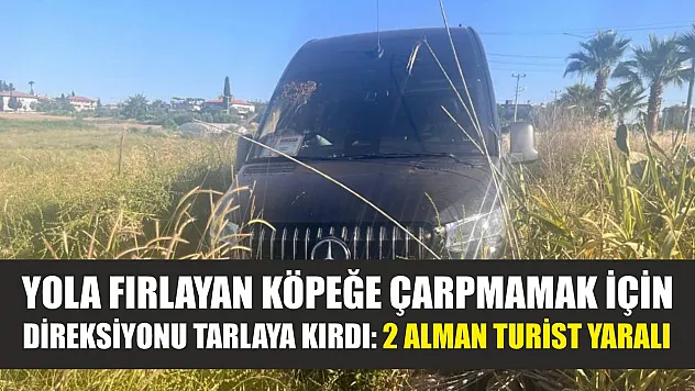 Yola fırlayan köpeğe çarpmamak için direksiyonu tarlaya kırdı: 2 Alman turist yaralı