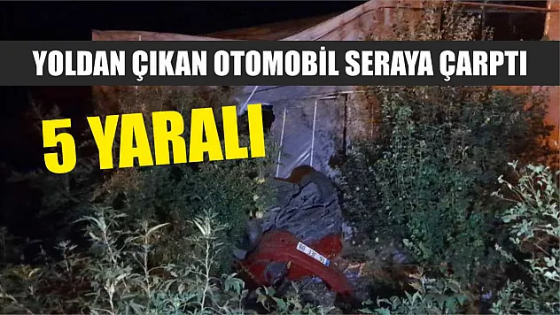 Yoldan çıkan otomobil seraya çarptı: 5 yaralı