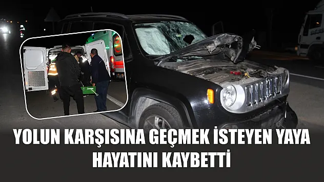Yolun karşısına geçmek isteyen yaya hayatını kaybetti
