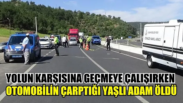 Yolun karşısına geçmeye çalışırken otomobilin çarptığı yaşlı adam öldü