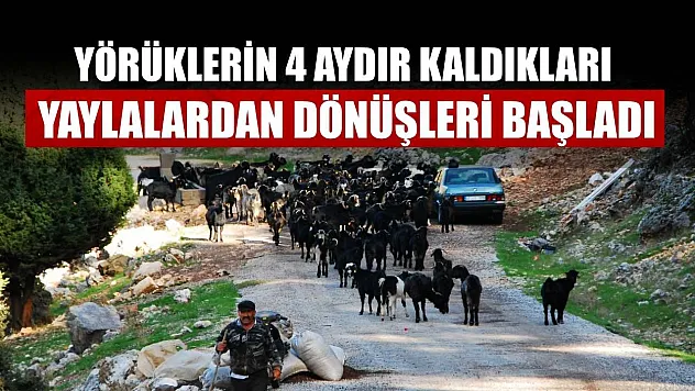 Yörüklerin 4 aydır kaldıkları yaylalardan dönüşleri başladı