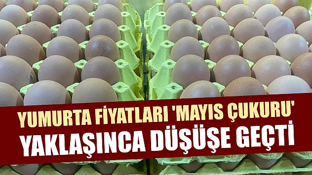 Yumurta fiyatları 'mayıs çukuru' yaklaşınca düşüşe geçti