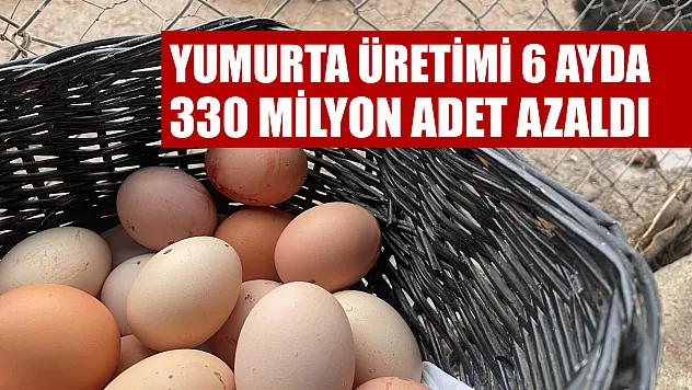 Yumurta üretimi 6 ayda 330 milyon adet azaldı