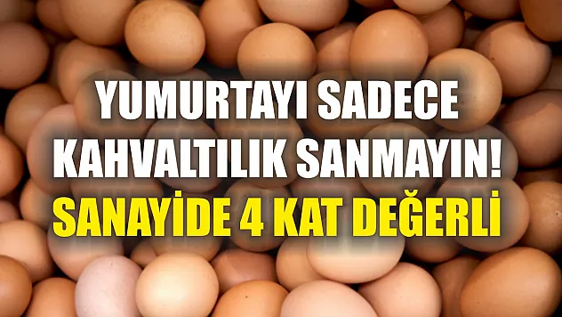 Yumurtayı sadece kahvaltılık sanmayın! Sanayide 4 kat değerli