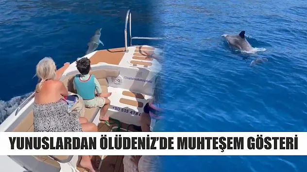 Yunuslardan Ölüdeniz'de muhteşem gösteri