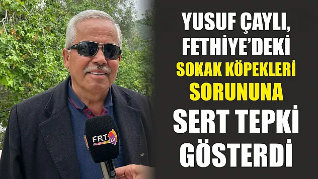 Yusuf Çaylı, Fethiye'deki sokak köpekleri sorununa sert tepki gösterdi